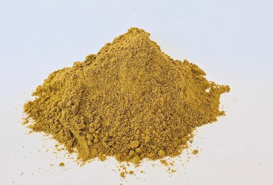 Chicken meal supplier in India