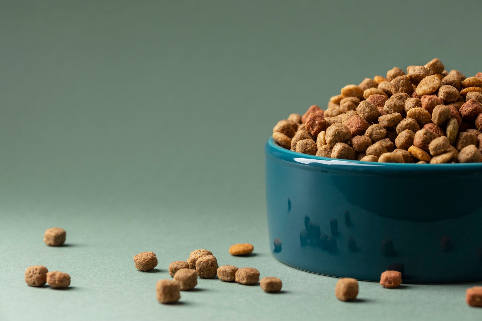 Premium pet food ingredients